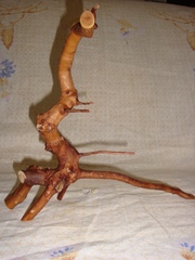Коряжка для аквариума